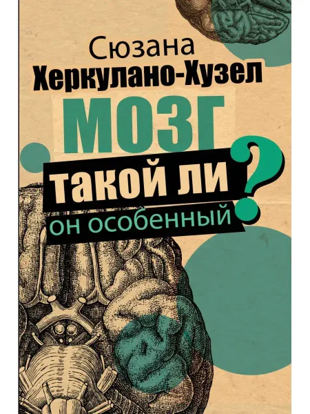 Издательство АСТ Мозг. Такой ли он особенный?