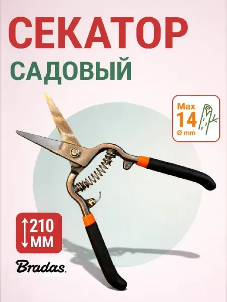 BRADAS Секатор для срезки цветов и побегов (KT-RG1007)