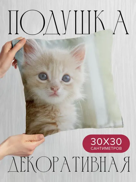 365home Подушка декоративная, 30x30см Животные котенок малыш