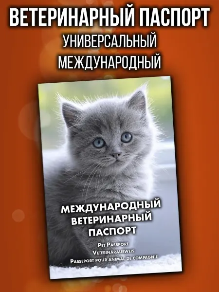 Аурасо Ветеринарный паспорт для котенка международный