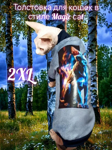 ANY PET Толстовка для питомцев Магический кот 2XL