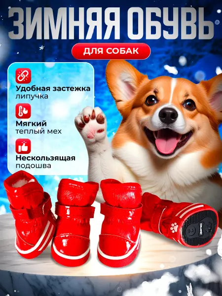 ChupaDog Обувь для мелких и средних пород
