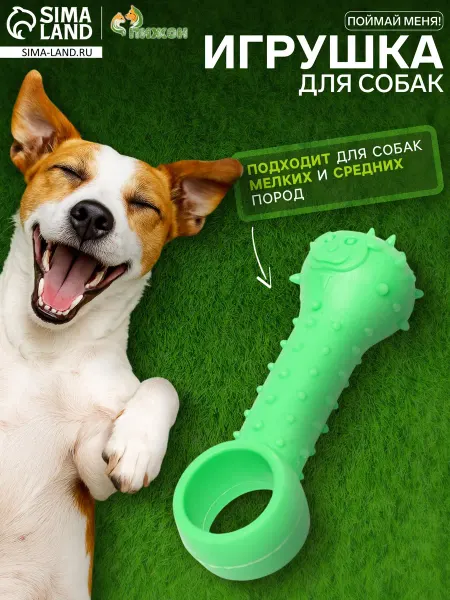 Пижон Игрушка дразнилка резиновая для собак