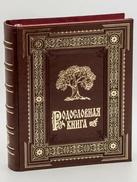 Книжный дом Бекетова Родословная книга Ампир (А4) экокожа в подарочной упаковке