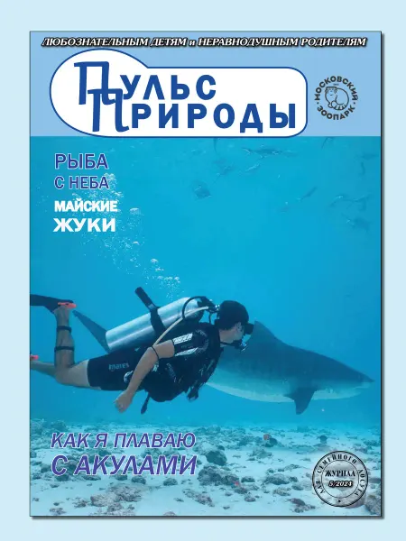 ИП Бахметьева И.А. Журнал "Пульс природы" №5 2024