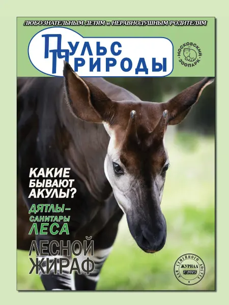 ИП Бахметьева И.А. Журнал "Пульс природы" №7 2025