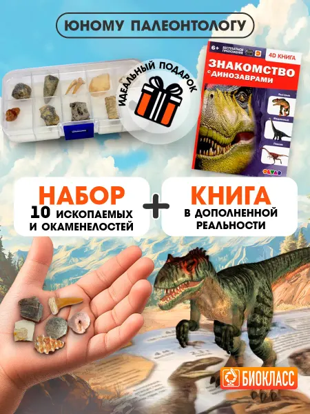 DEVAR Книга про динозавров, подарочный набор