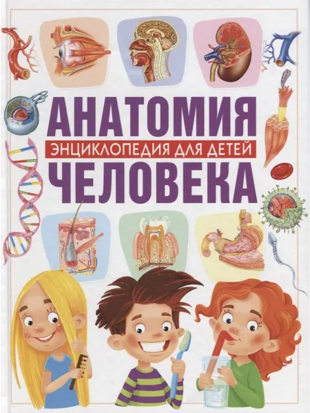 Владис Винченцо Гуиди Анатомия человека. Энциклопедия для детей