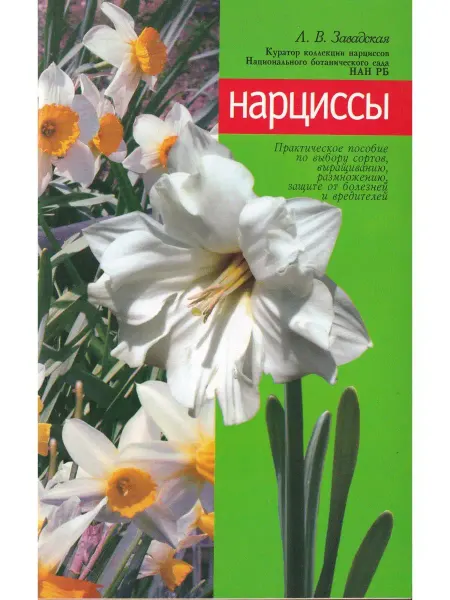 МСП Нарциссы. Практическое пособие по выбору сортов, выращиванию
