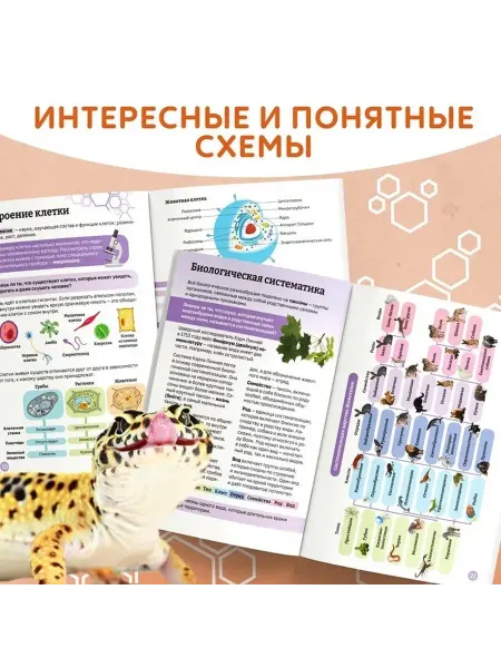 Увлекательная природа для малышей