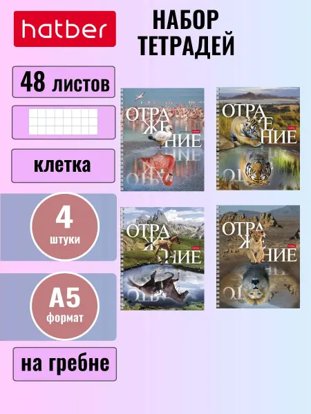 Hatber Тетрадь 48 листов клетка А5 4 диз. 4 шт