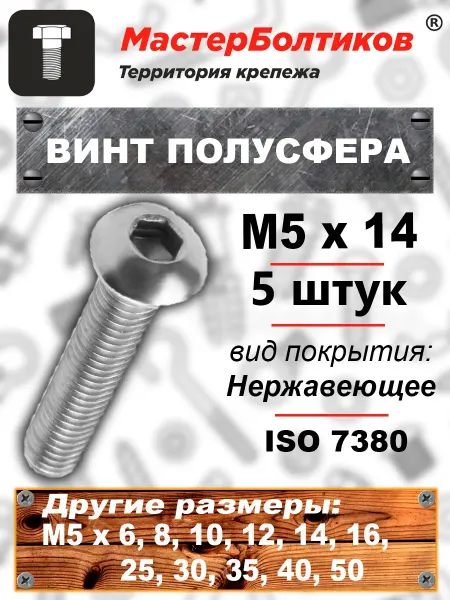 МастерБолтиков Винт п сф M5х14 внутр. шестигранник нержавеющий А2 (5 шт)