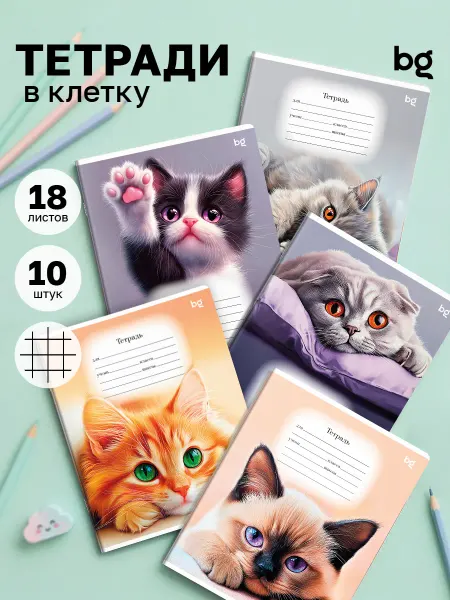 BG Тетрадь в клетку с рисунком 18 листов 10 штук