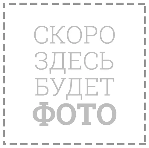 Тепловентилятор Oasis SR-20R