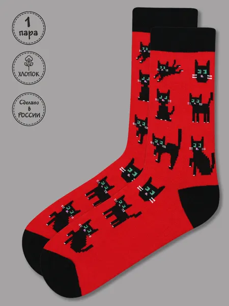 KingkitНоски