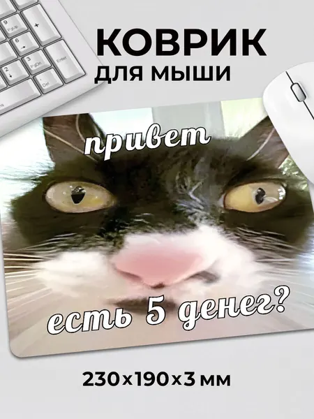 Коврик для мышки прикол мем Котик Есть 5 денег? смешной кот c тканевой поверхностью, на нескользящем резиновом основании
