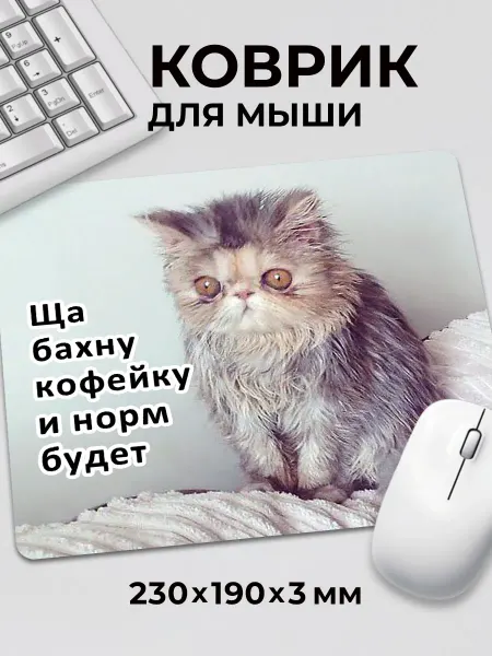 Дари! Коврик для мышки с приколом мем котик Ща бахну кофейку норм