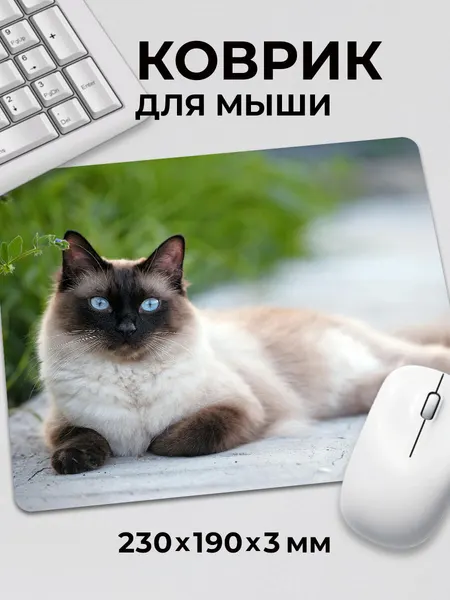 Коврик для мышки игровой маленький на стол Сиамский кот c тканевой поверхностью, на нескользящем резиновом основании