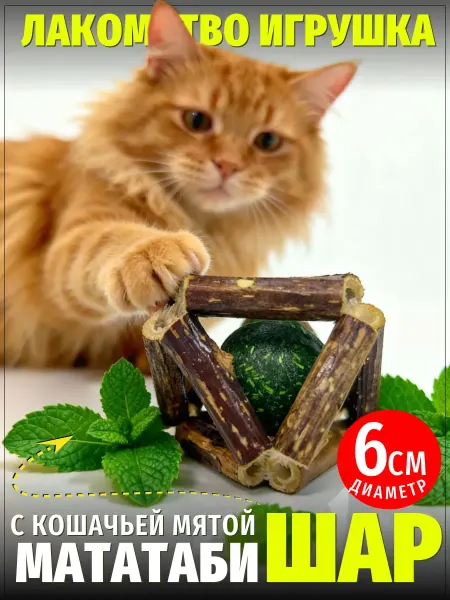 ЗООГЕНИЙ Игрушка 2 в 1 с мататаби и кошачьей мятой антистресс