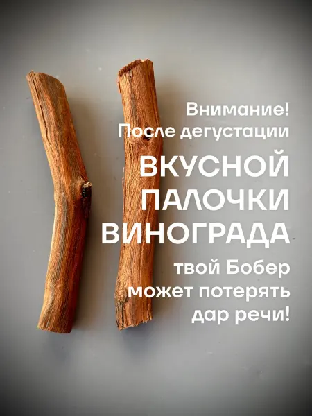 Вкусная палочка для грызунов Виноград 1 шт