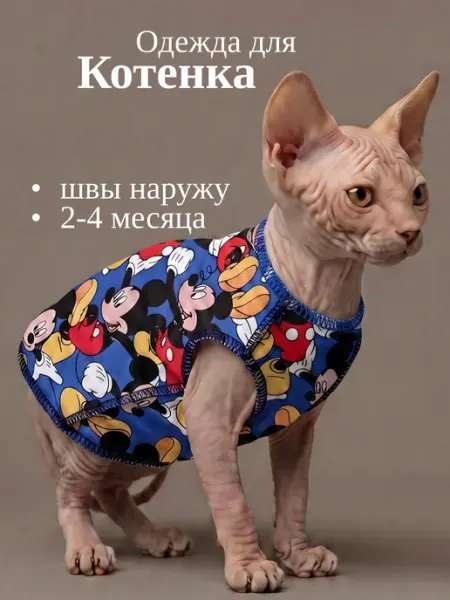Одежда для сфинкса котенка