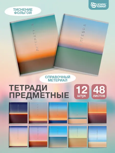 Schoolformat Предметные тетради 48 листов набор 12 штук