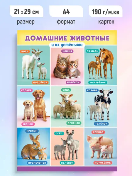 ЛиС Групп Детский обучающий плакат Домашние животные и их детеныши А4