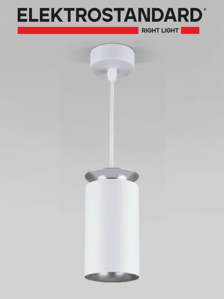 ELEKTROSTANDARD Светильник подвесной LED 4200К DLS021 белый