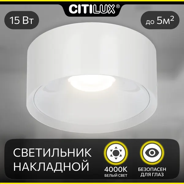 Citilux Светильник накладной CL743150N ROVER