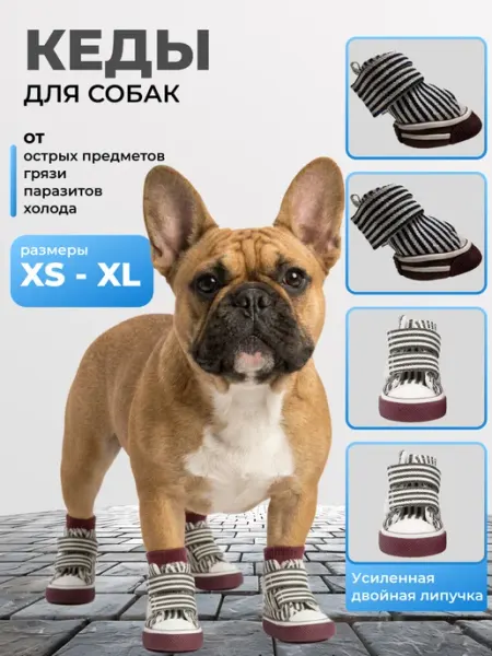 Кеды для собак