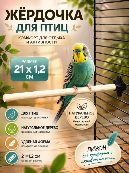 Пижон Жердочки для попугаев