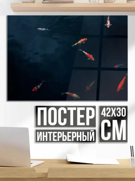 Плакат постер Золотые рыбки в воде