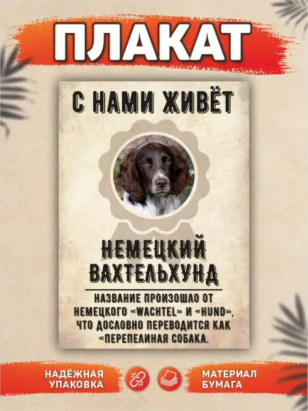 DANGER DOG осторожно злая собака Плакат, С нами живет, Немецкий вахтельхунд