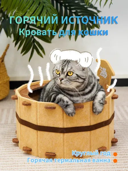 Дизайн бассейна с горячей водойКровать для кошки