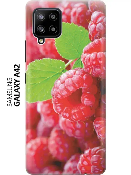 Samsung Чехол на Galaxy A42