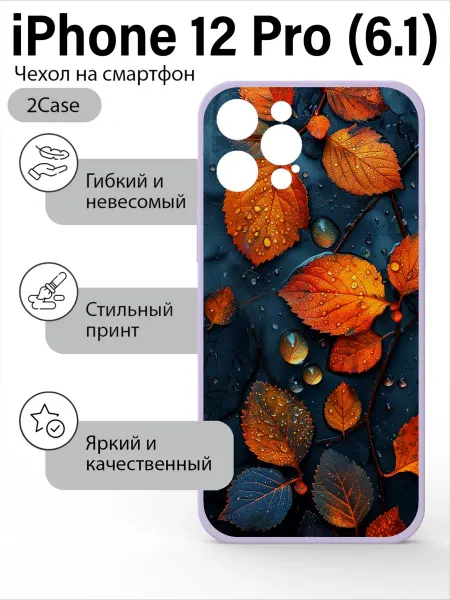 2Case Чехол с принтом iPhone 12 pro