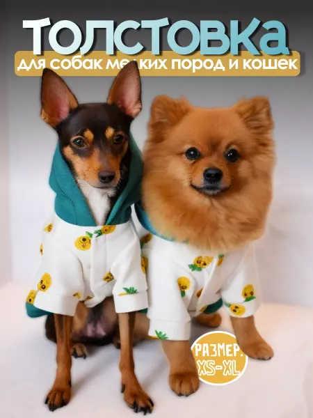 ShopJoy Толстовка для собак мелких пород и кошек