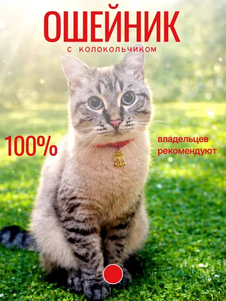 Ошейник для кошек и собак