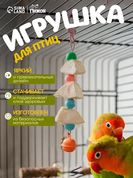 Пижон Игрушка для птиц с панцирем каракатицы и бусами, 9×3 см
