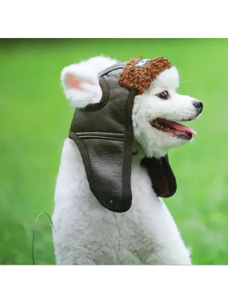 Dog luck Шапка для собак и кошек