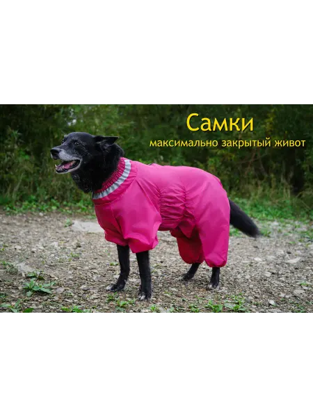 Happy Rex Комбинезон-дождевик для собак (самки)