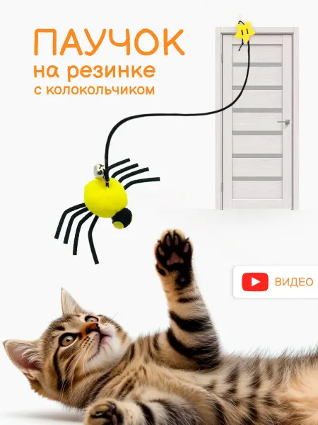 Игрушка для кошек Паук на резинке, интерактивная дразнилка