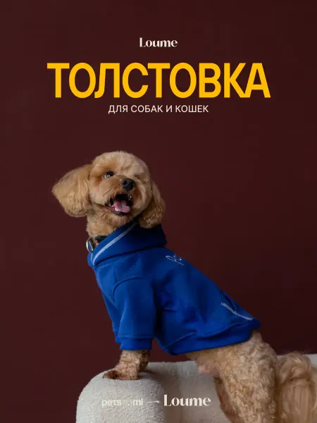 Loume Толстовка для собак