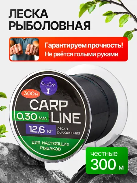 Фишторг Леска рыболовная 0.30 мм 300 м черная монофильная карповая