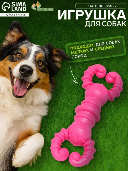 1000 Каталог Игрушка для собак резиновая Гантель