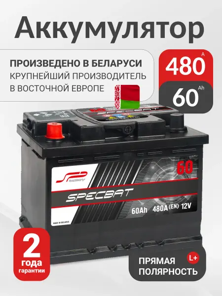 SPECBAT Аккумулятор автомобильный 60 Ач 480 А прямая полярность