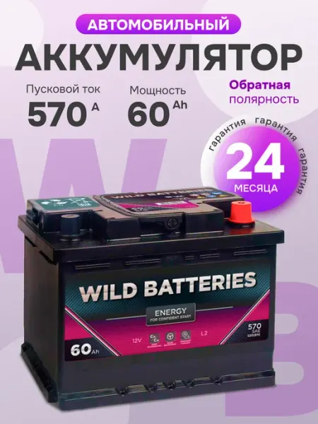 WILD BATTERIES Аккумулятор автомобильный 60 Ач 570 A прямая полярность