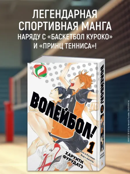 Азбука Волейбол! Книга 1. Хината и Кагэяма. Вид с высоты