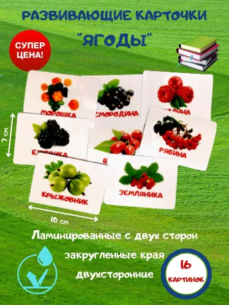Энгель Карточки домана для малышей развивающие ягоды ламинированные