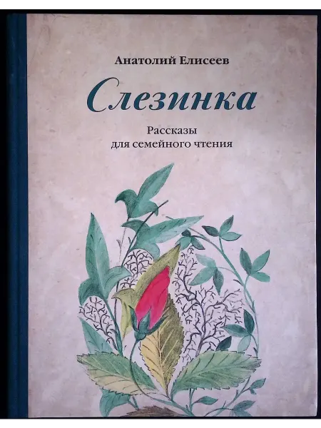 Альфа-Дизайн Слезинка. Рассказы для семейного чтения